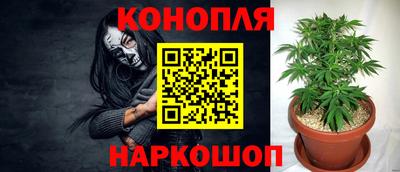 соль ск Свободный