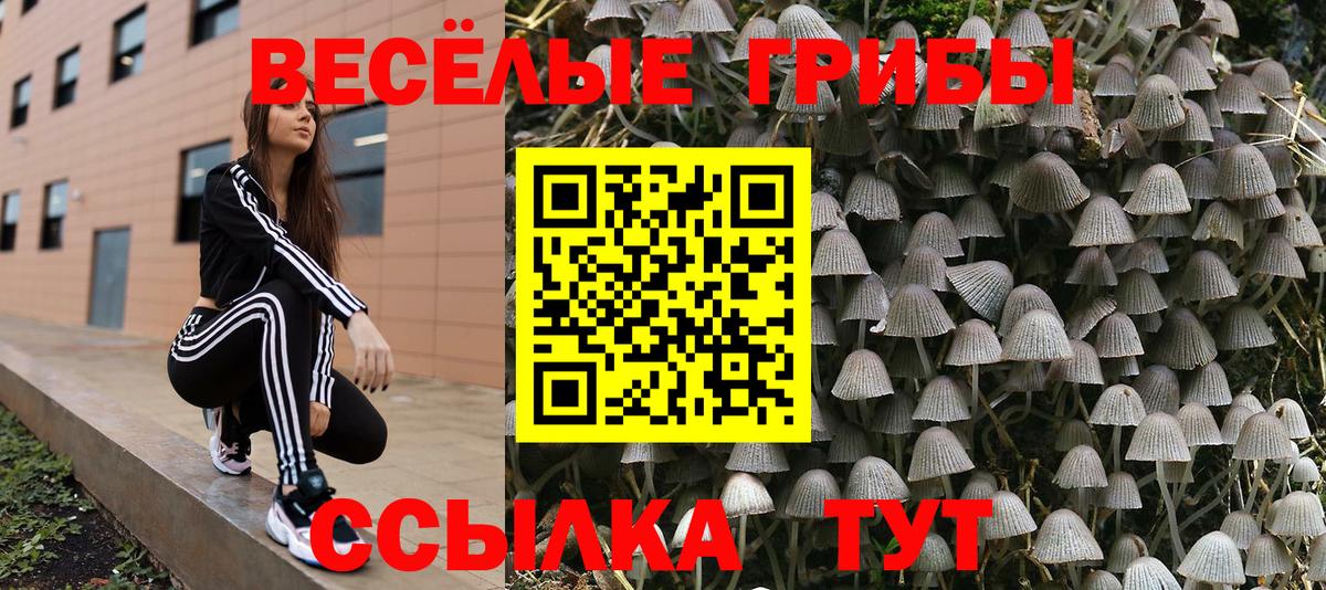 Псилоцибиновые грибы MAGIC MUSHROOMS Новотроицк