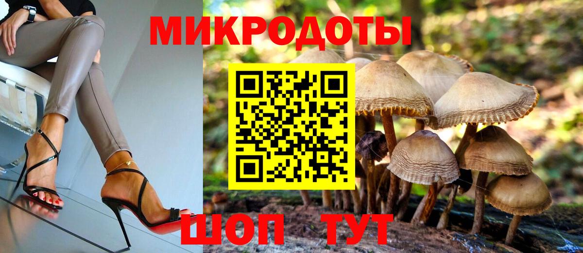 Галлюциногенные грибы MAGIC MUSHROOMS  Вход с VPN  Новотроицк 